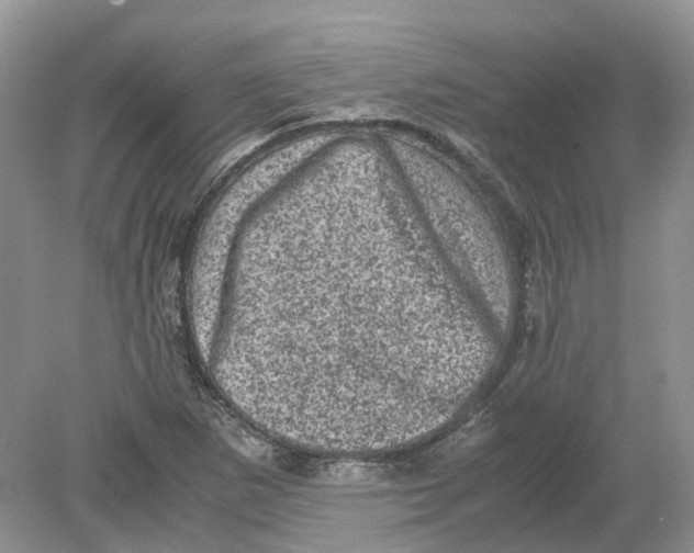 X0000078861265200612041923