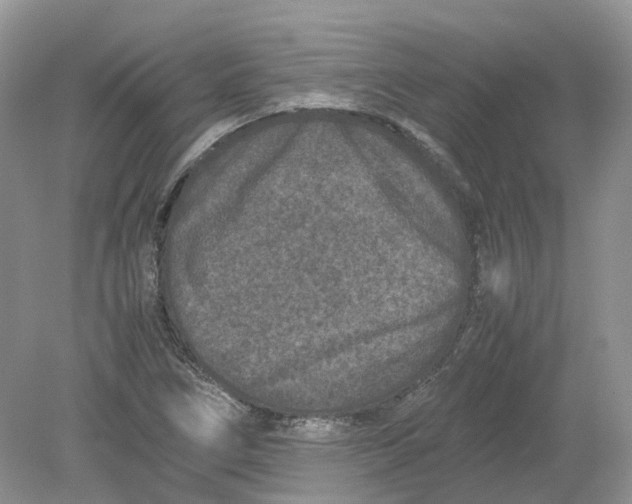 X0000078861266200612041923