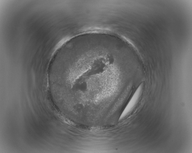 X0000078861267200612041923