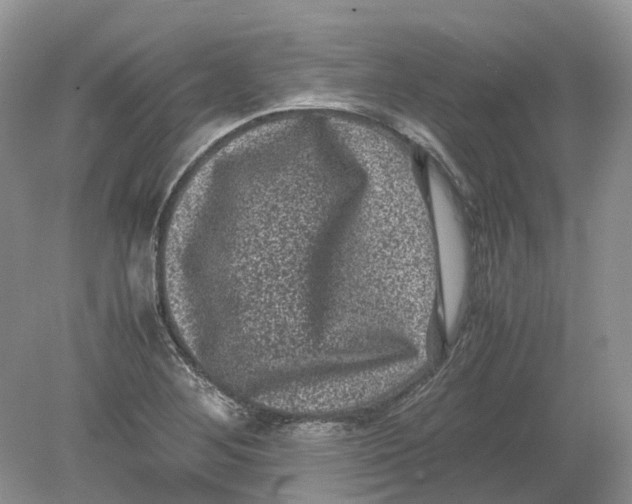 X0000078861268200612041923