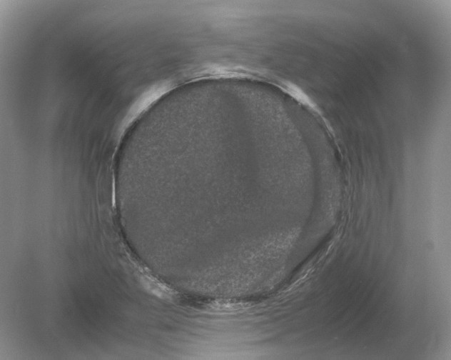 X0000078861269200612041923