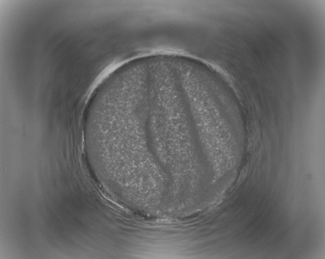 X0000078861271200612041923