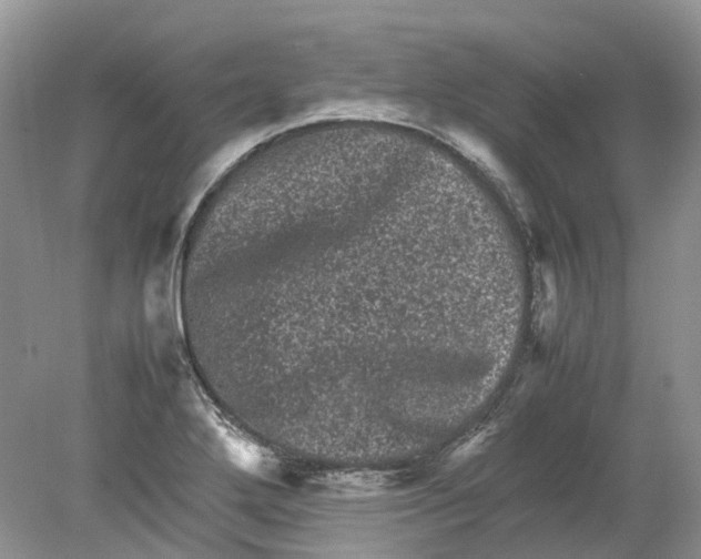 X0000078861272200612041923