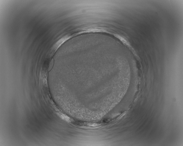 X0000078861273200612041923