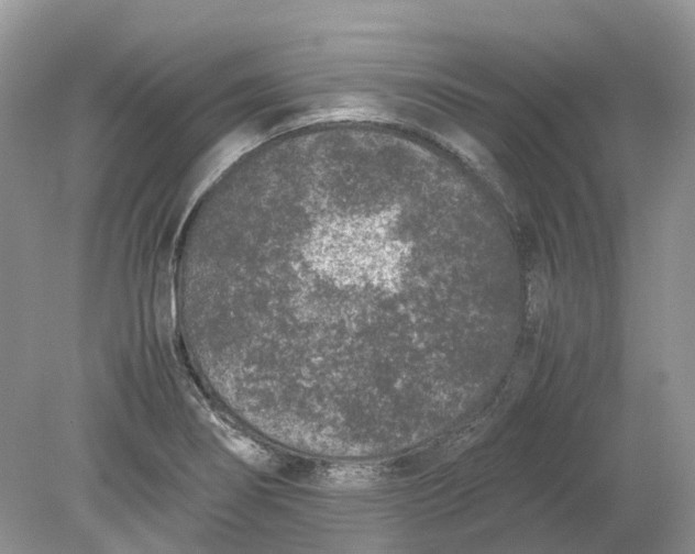 X0000078861274200612041923