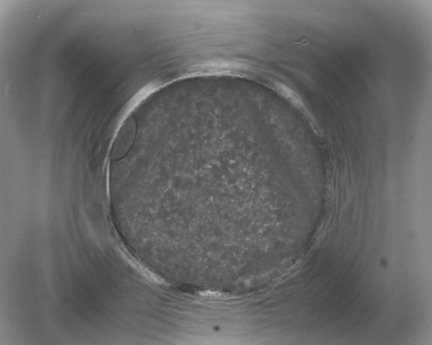 X0000078861275200612041923