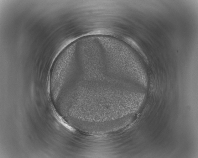 X0000078861276200612041923