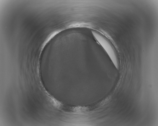 X0000078861277200612041922