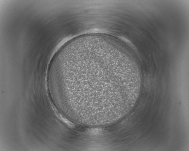 X0000078861278200612041922