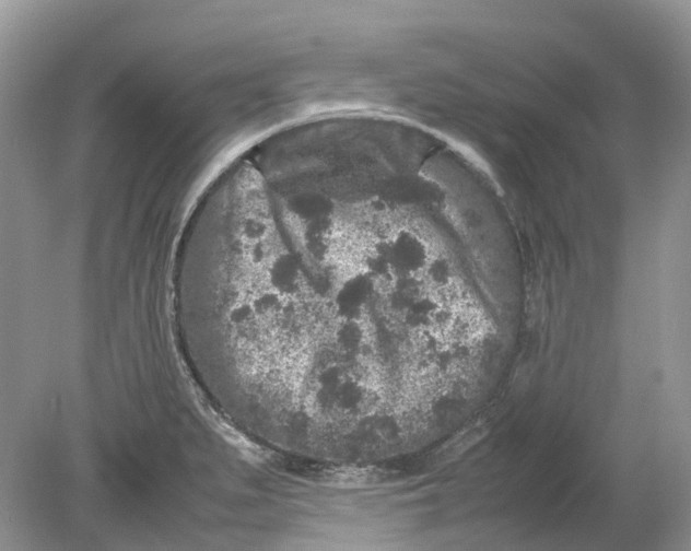 X0000078861279200612041922