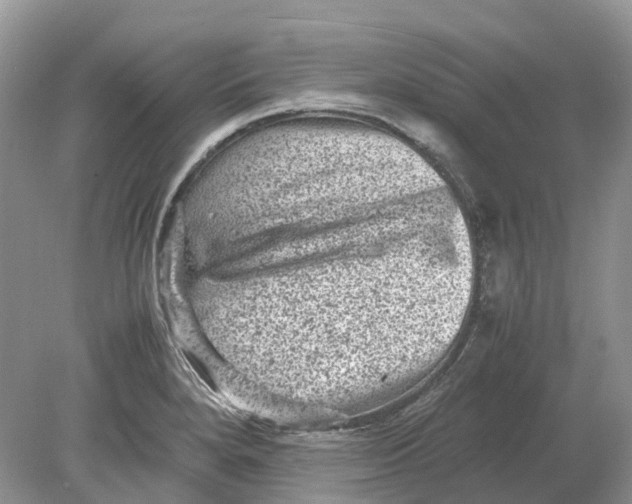 X0000078861280200612041922