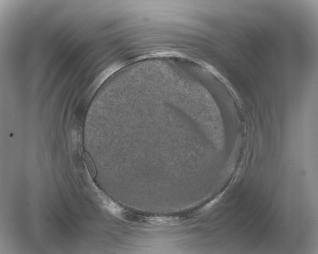 X0000078861281200612041922