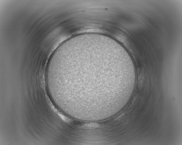 X0000078861282200612041922