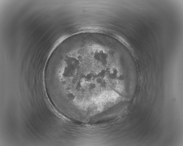 X0000078861283200612041922