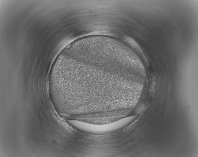 X0000078861284200612041922