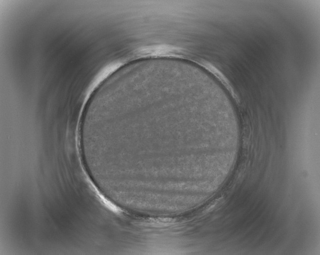 X0000078861285200612041922