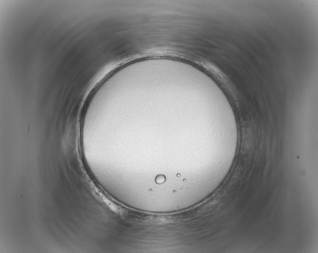 X0000078861286200612041922