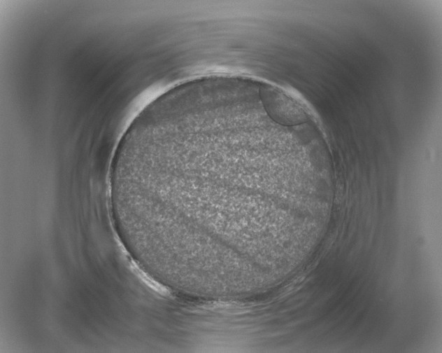 X0000078861287200612041922