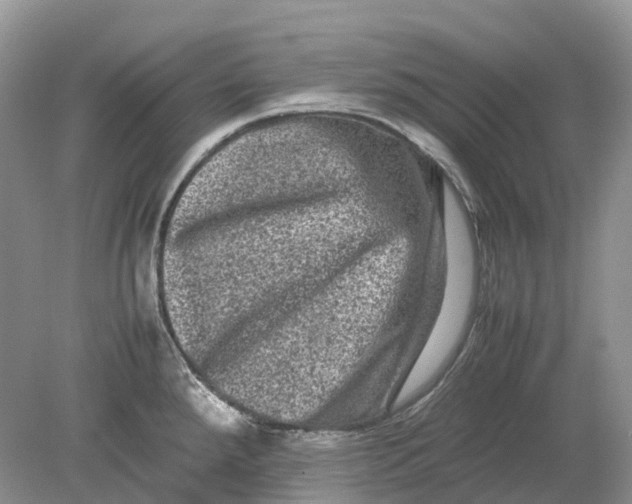 X0000078861288200612041922