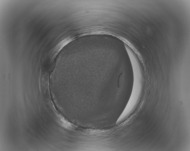 X0000078861289200612041922