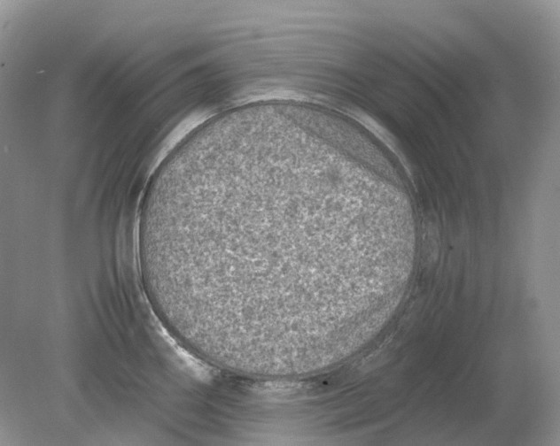 X0000078861290200612041922