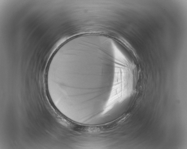 X0000078861291200612041922