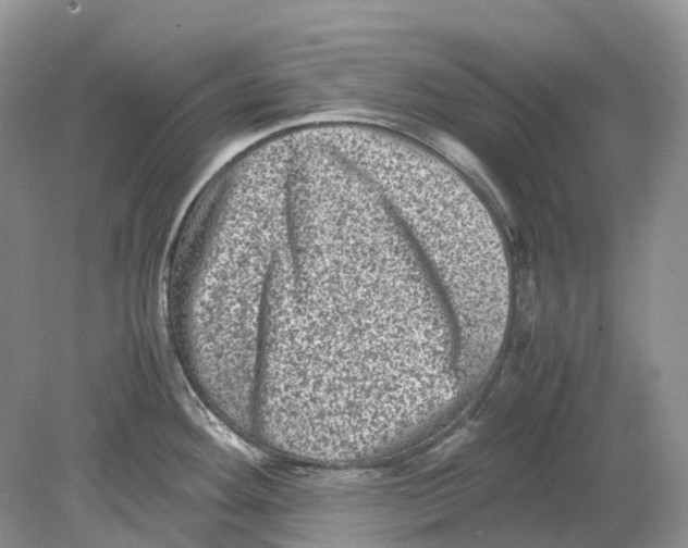 X0000078861292200612041922