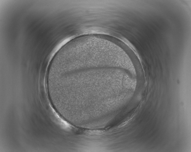 X0000078861293200612041922