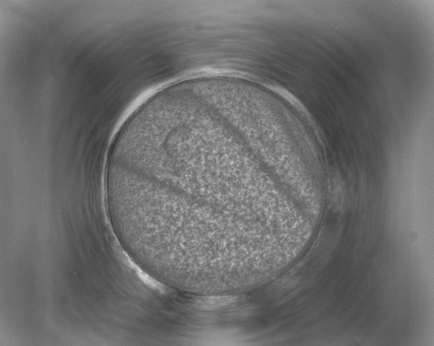 X0000078861294200612041922