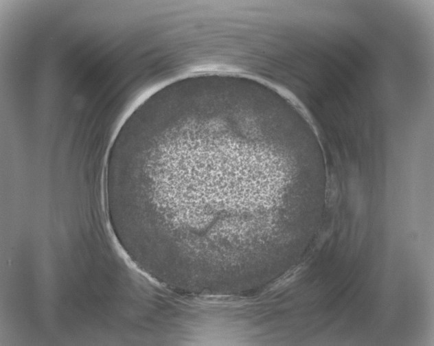 X0000078861295200612041922