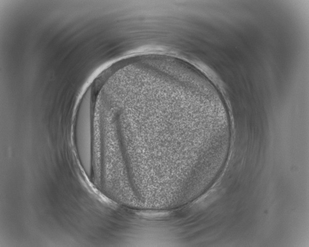 X0000078861296200612041922