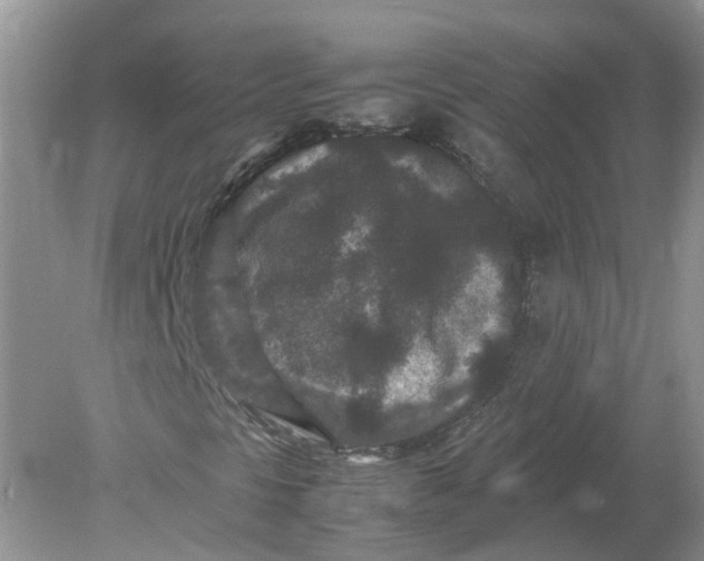 X0000078861297200612041921