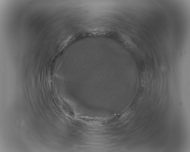 X0000078861298200612041921