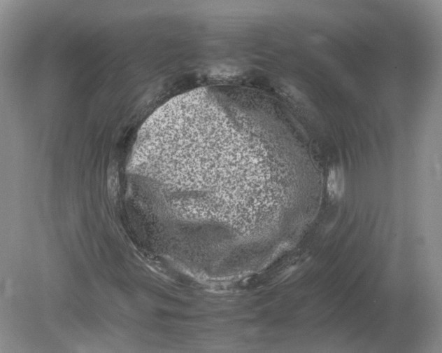 X0000078861299200612041921