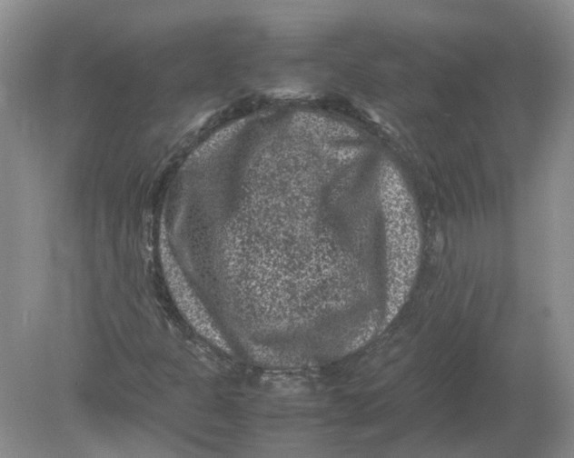 X0000078861301200612041921