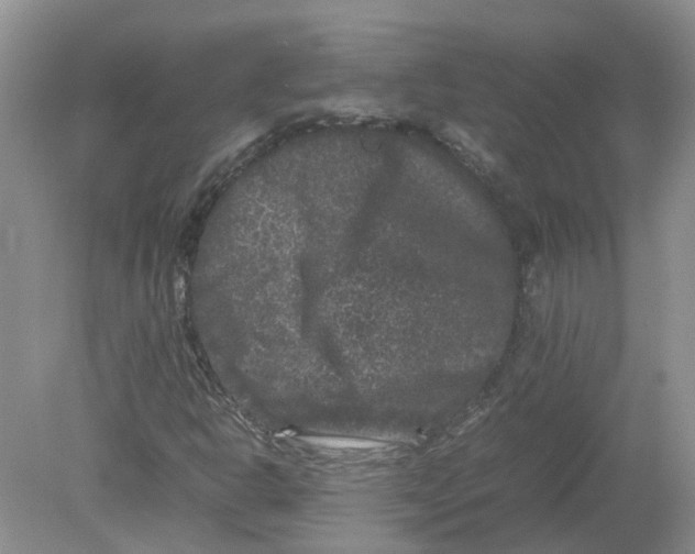 X0000078861302200612041921