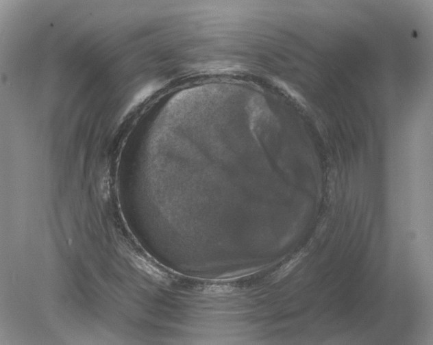 X0000078861306200612041922