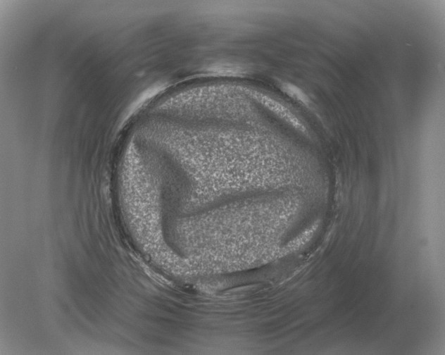 X0000078861307200612041922