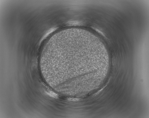 X0000078861309200612041922