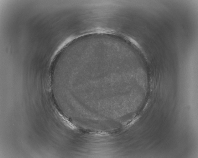 X0000078861310200612041922