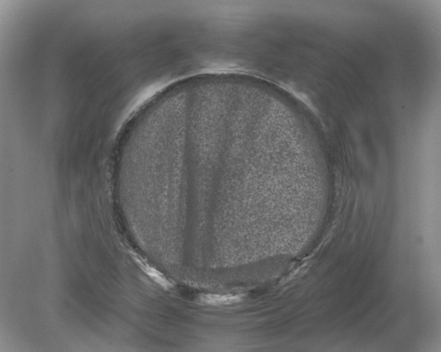 X0000078861311200612041922