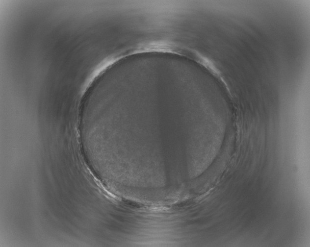 X0000078861312200612041922