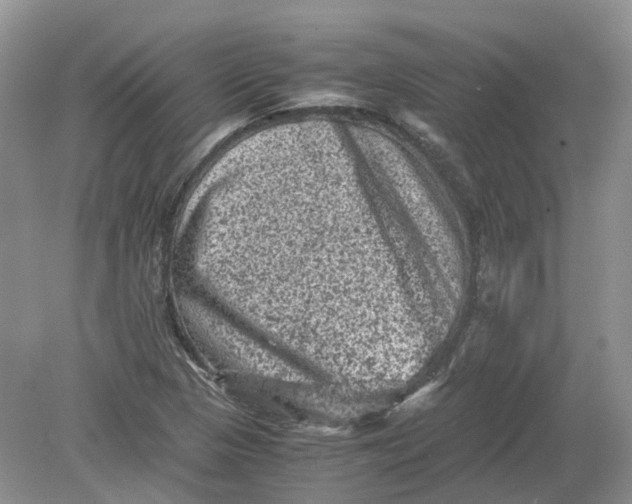 X0000078861313200612041922