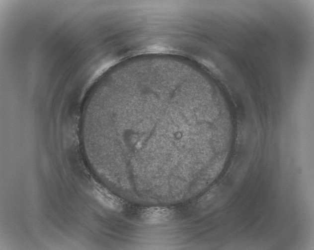 X0000078861314200612041922