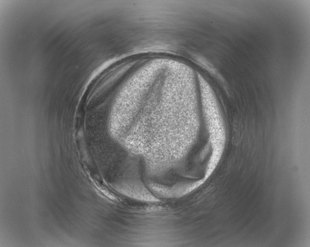 X0000078861316200612041922