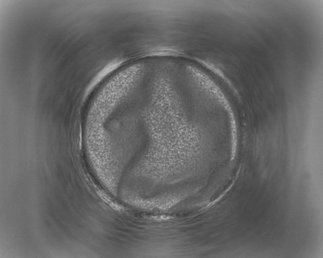 X0000078861317200612041922