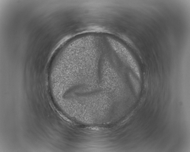 X0000078861318200612041922