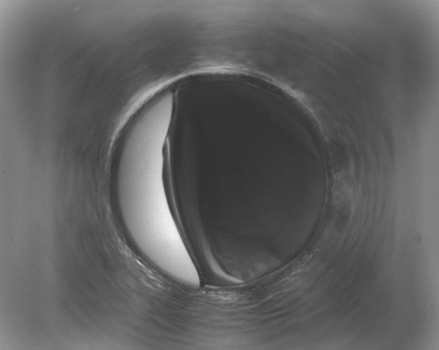 X0000078861319200612041922