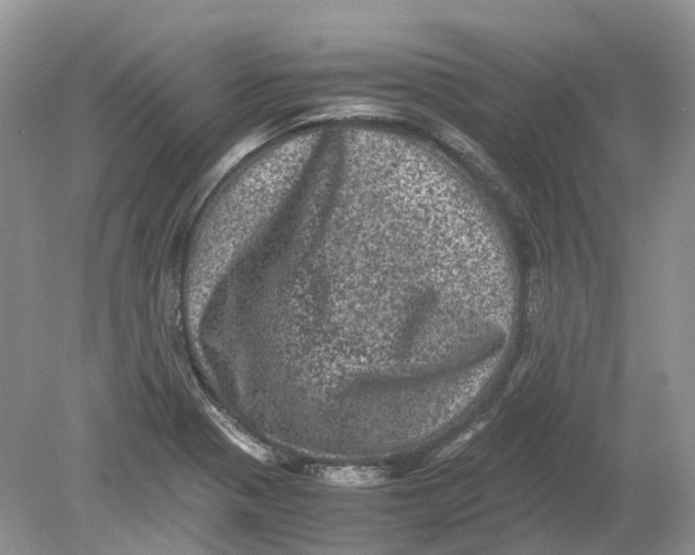 X0000078861321200612041922