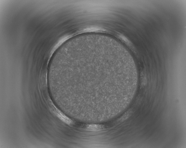 X0000078861322200612041922